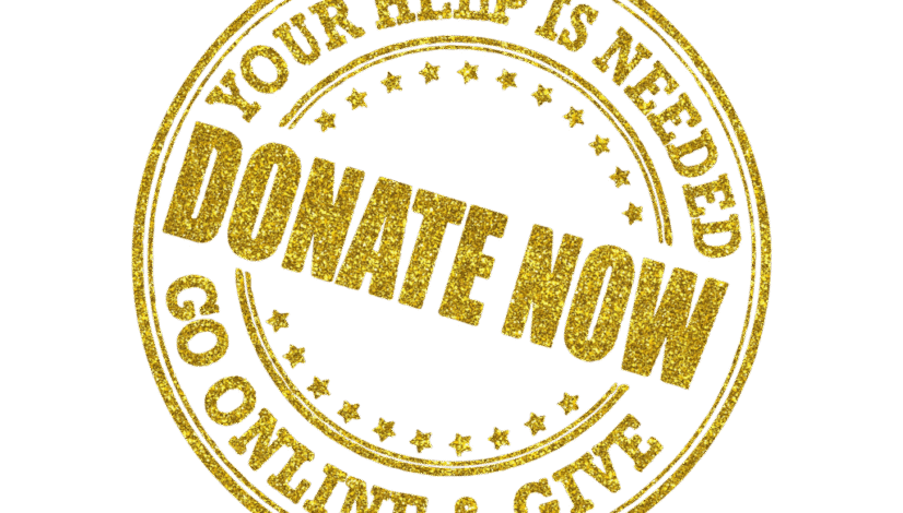 Donate Now Graphic